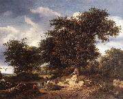 RUISDAEL, Jacob Isaackszon van The Great Oak af oil on canvas